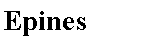 Zone de Texte: Epines