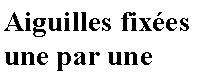 Zone de Texte: Aiguilles fixes une par une